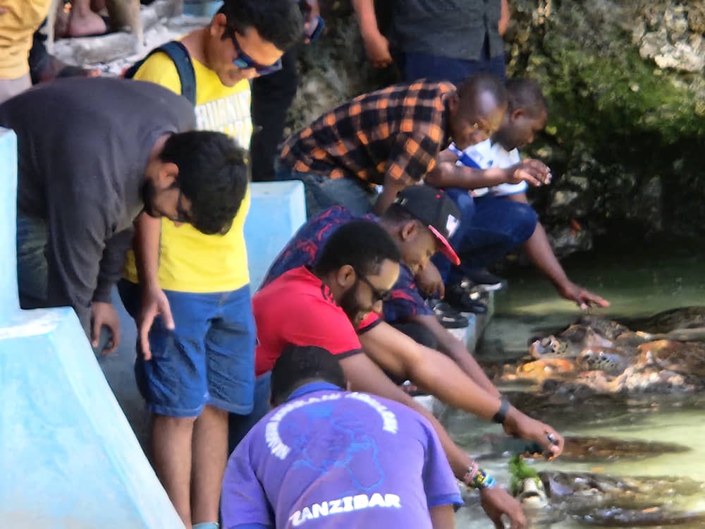Image of IITM Zanzibar Campus
